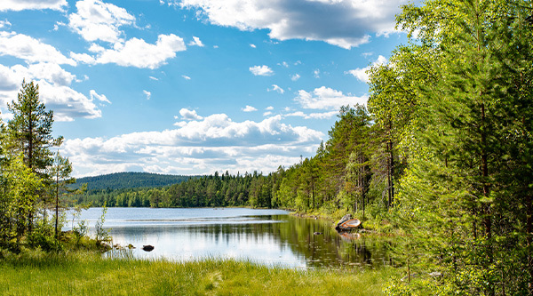 Klimatåtgärder