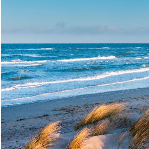 Fischland - Darss - Zingst beach with waves on a sunny day